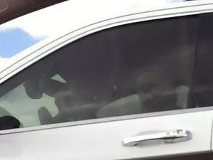 Spit Rösten Junge Aa ...